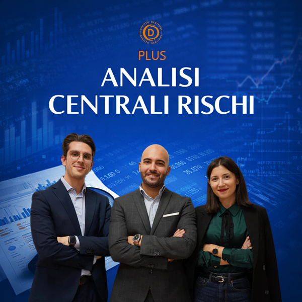 Analisi centrali rischi (Plus)